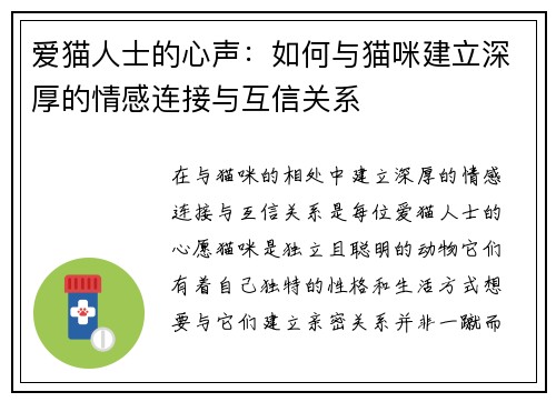 爱猫人士的心声：如何与猫咪建立深厚的情感连接与互信关系